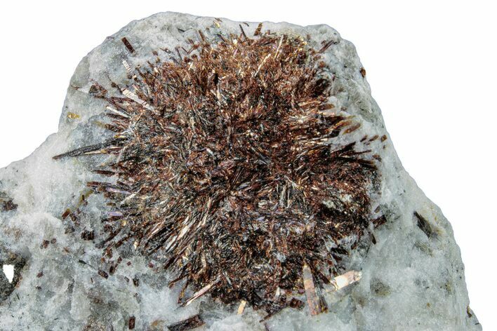 Golden-Brown, Radiating Astrophyllite - Kola Peninsula, Russia #255073